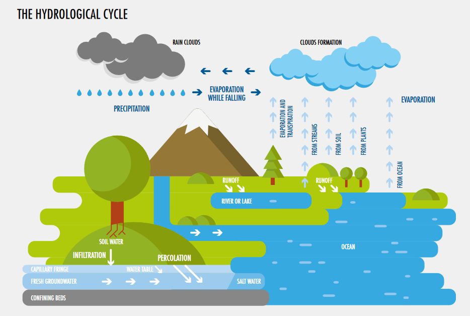 Voorbeeld van The hydrological cycle, uit FAO 2020.